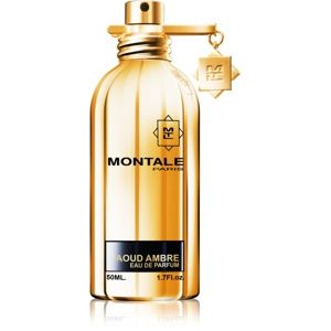 Montale Aoud Ambre parfumovaná voda unisex 50 ml