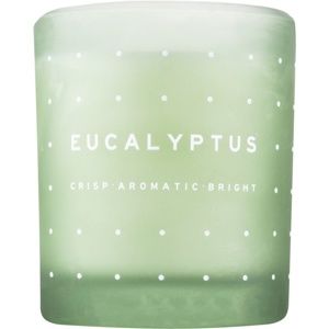 DW Home Eucalyptus vonná sviečka 371,3 g