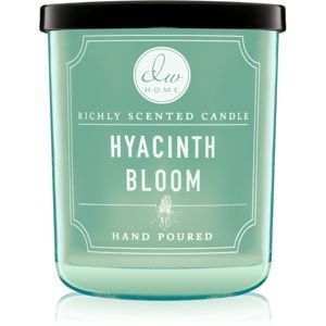 DW Home Hyacinth Bloom vonná sviečka 113,4 g