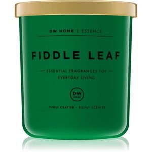 DW Home Fiddle Leaf vonná sviečka 255,85 g