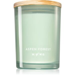 Makers of Wax Goods Aspen Forest vonná sviečka 420 g