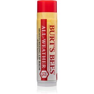 Burt’s Bees Lip Care hydratačný balzam na pery v tyčinke SPF 15 4,25 ml