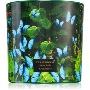 Vila Hermanos Jungletopia Blue Butterfly vonná sviečka 620 g