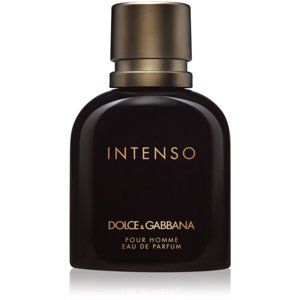 Dolce & Gabbana Pour Homme Intenso parfumovaná voda pre mužov 75 ml