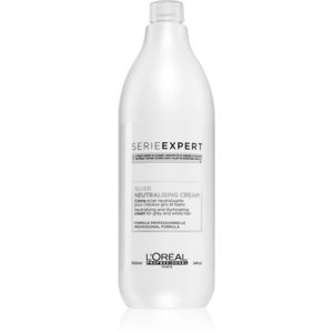L’Oréal Professionnel Serie Expert Silver vlasová starostlivosť neutralizujúci žlté tóny 1000 ml