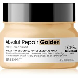 L’Oréal Professionnel Serie Expert Absolut Repair regeneračná maska pre suché a poškodené vlasy 250 ml