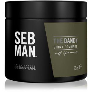 Sebastian Professional SEBMAN pomáda na vlasy pre prirodzenú fixáciu 75 ml