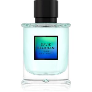 David Beckham True Instinct parfumovaná voda pre mužov 75 ml
