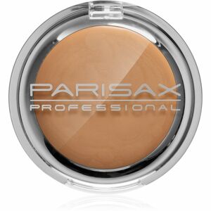 Parisax Professional krémový korektor odtieň Natural 3,5 g