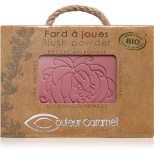 Couleur Caramel Blush Powder kompaktná lícenka odtieň č.52 - Fresh Pink 7 g