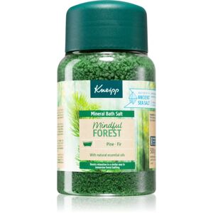 Kneipp Mindful Forest soľ do kúpeľa 500 g