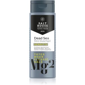 Salt House Dead Sea Men sprchový gél pre mužov 3v1 250 ml