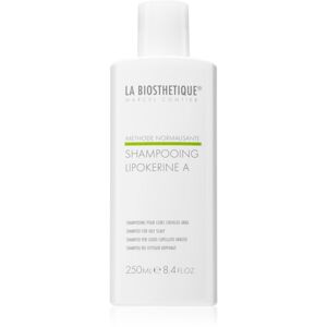 La Biosthétique Methode Normalisante šampón pre mastnú pokožku hlavy 250 ml