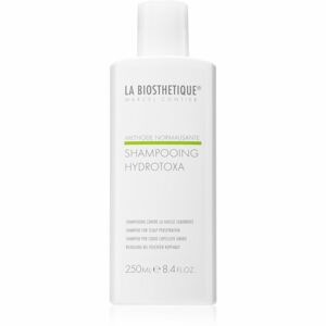 La Biosthétique Methode Normalisante šampón na rozstrapkané končeky vlasov 250 ml