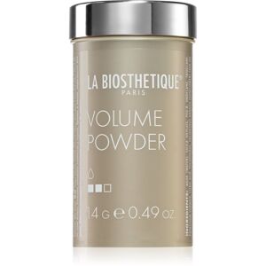 La Biosthétique Volume vlasový púder pre objem 14 g