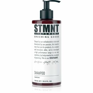 STMNT Care šampón na vlasy, bradu a telo 750 ml