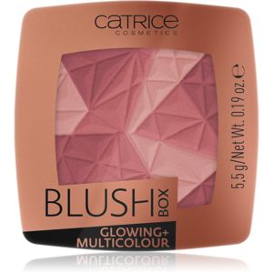 Catrice Blush Box Glowing + Multicolour rozjasňujúca lícenka odtieň 020 It's Wine O'clock 5.5 g
