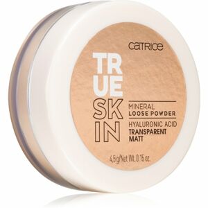 Catrice True Skin minerálny púder odtieň 010 Transparent Matt 4,5 g