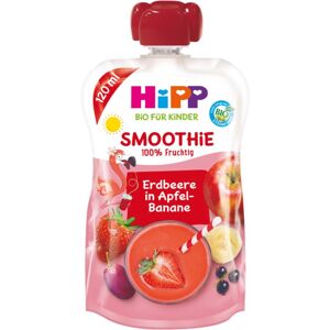 Hipp BIO Smoothie jablko - banán - červené ovocie ovocný príkrm 120 ml
