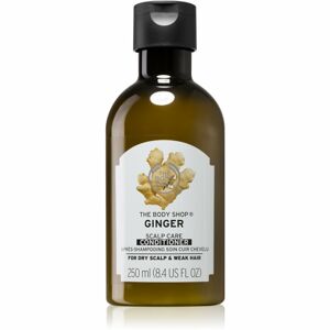 The Body Shop Ginger kondicionér pre suché vlasy a citlivú pokožku hlavy 250 ml