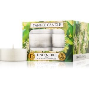 Yankee Candle Linden Tree čajová sviečka 12 x 9,8 g