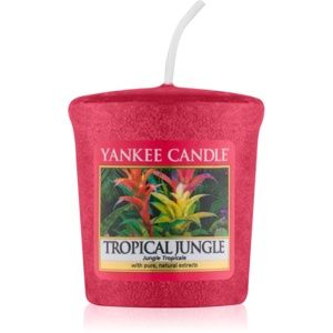Yankee Candle Tropical Jungle votívna sviečka 49 g