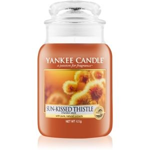 Yankee Candle Sun-Kissed Thistle vonná sviečka 623 g Classic veľká