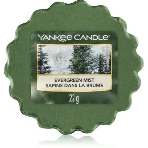 Yankee Candle Evergreen Mist vosk do aromalampy 22 g