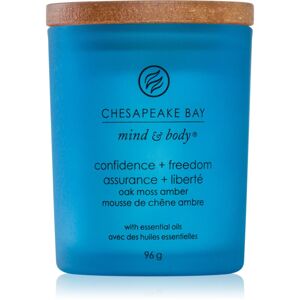 Chesapeake Bay Candle Mind & Body Confidence & Freedom vonná sviečka 96 g