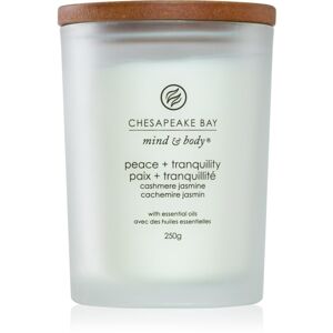 Chesapeake Bay Candle Mind & Body Peace & Tranquility vonná sviečka 250 g