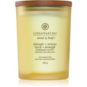 Chesapeake Bay Candle Mind & Body Strength & Energy vonná sviečka 250 g