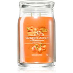 Yankee Candle Farm Fresh Peach vonná sviečka Signature 567 g