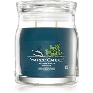 Yankee Candle Bayside Cedar vonná sviečka I. 368 g