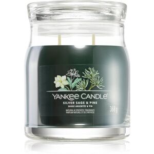 Yankee Candle Silver Sage & Pine vonná sviečka Signature 368 g