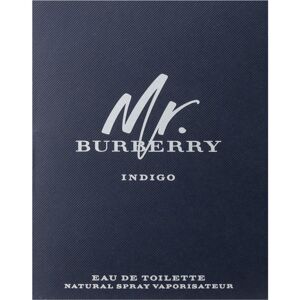 Burberry Mr. Burberry Indigo toaletná voda pre mužov 2 ml