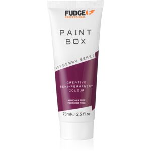 Fudge Paintbox semi-permanentná farba na vlasy odtieň Raspberry Beret 75 ml