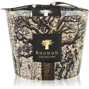 Baobab Collection Sacred Trees Morondo vonná sviečka 10 cm