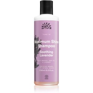 Urtekram Soothing Lavender upokojujúci šampón na lesk a hebkosť vlasov 250 ml