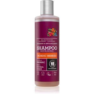 Urtekram Nordic Berries šampón na vlasy 250 ml