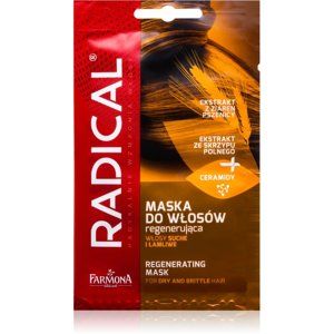 Farmona Radical Dry & Brittle Hair regeneračná maska pre suché a slabé vlasy 20 g