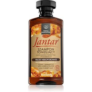Farmona Jantar Low Porosity Hair čistiaci šampón pre objem 330 ml