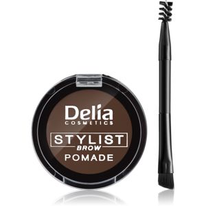 Delia Cosmetics Eyebrow Expert pomáda na obočie odtieň Dark Brown 4 g
