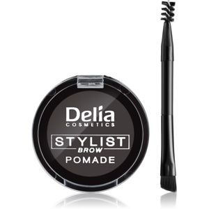 Delia Cosmetics Eyebrow Expert pomáda na obočie odtieň Graphite 4 g