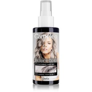 Delia Cosmetics Cameleo Instant Color tónovacia farba na vlasy v spreji odtieň Control Your Silver 150 ml