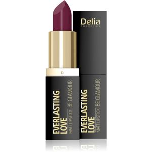 Delia Cosmetics Everlasting Love Be Glamour matný rúž odtieň 308 cute 4 g