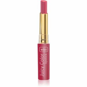 Wibo Lipstick Juicy Colour krémový hydratačný rúž 2 v 1 04 1,4 g