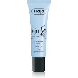 Ziaja Jeju Young Skin tekutý korektor pre dokonalú pleť odtieň Natural 30 ml