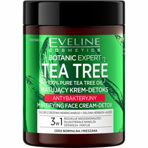 Eveline Cosmetics Botanic Expert zmatňujúci krém s detoxikačným účinkom 100 ml