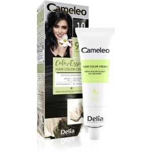 Delia Cosmetics Cameleo Color Essence farba na vlasy v tube odtieň 1.0 Black 75 g