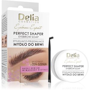 Delia Cosmetics Eyebrow Expert Perfect Shaper mydlo na obočie 10 ml